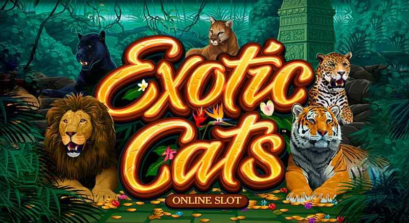 Mainkan Exotic Cats Slot Milik W88
