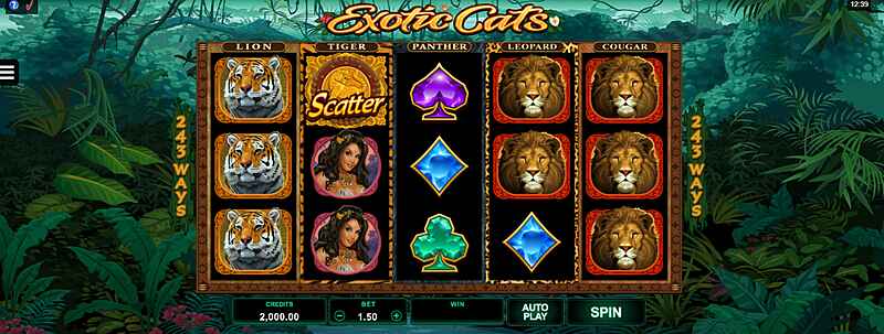 Menuju Ke Permainan Slot Exotic Cats